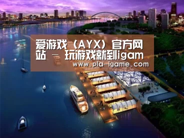 案例展示八